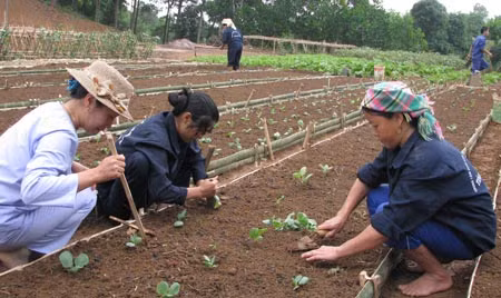 Những cặp vợ chồng vượt "vũ môn" giữa lòng hồ Thác Bà ảnh 1
