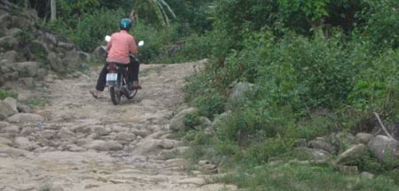 Bán ma tuý như rau ngoài chợ ảnh 1