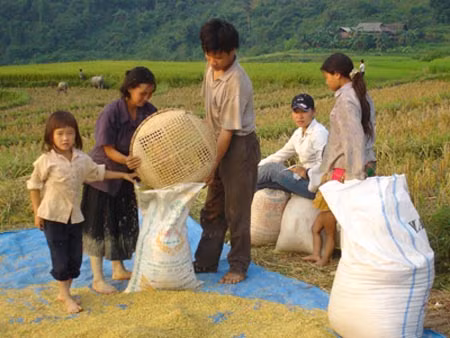 Người nghèo có quyền được hưởng phúc lợi.