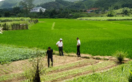 Đất nông nghiệp nên giao lâu dài, ổn định ảnh 2