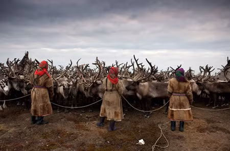 Bộ tộc Nenets và cuộc sống vùng cực Bắc ảnh 16