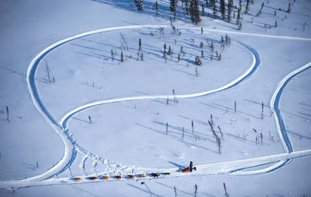Nhật ký cuộc đua xe chó kéo Alaska 2012 bằng hình ảnh 15