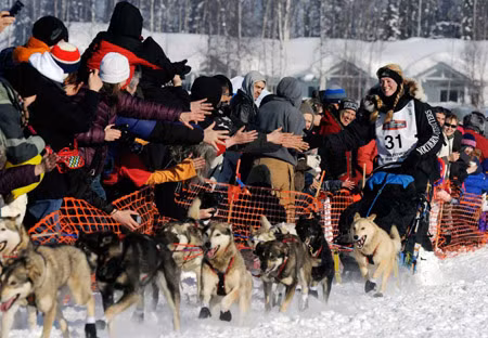 Nhật ký cuộc đua xe chó kéo Alaska 2012 bằng hình ảnh 6