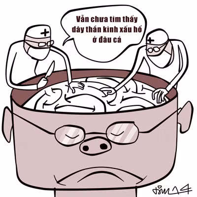 Minh họa: Lê Tâm.