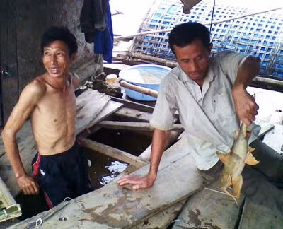 Nghề nuôi cá lồng sông Mã ảnh 1