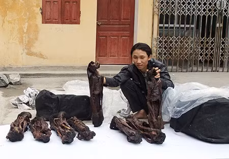 Tang vật vụ án.
