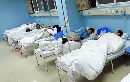 Gần đến năm con rồng, số người đã "triệt" đến xin "nối" lại tăng cao.