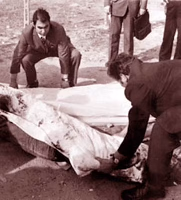 Thi thể của nhà văn Pasolini tại hiện trường vụ án.
