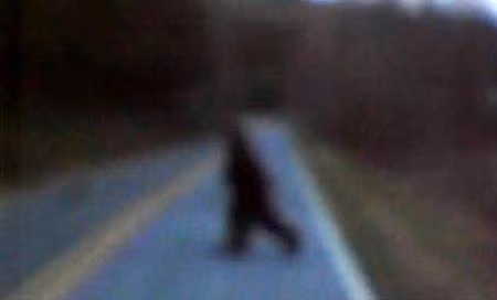 Quái vật vừa xuất hiện được cho là Bigfoot.