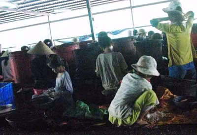 Những đứa trẻ nghỉ hè đi làm... công nhân ảnh 1