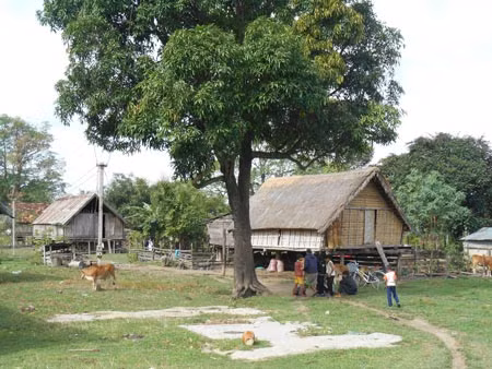 Một góc buôn cổ M'liêng.