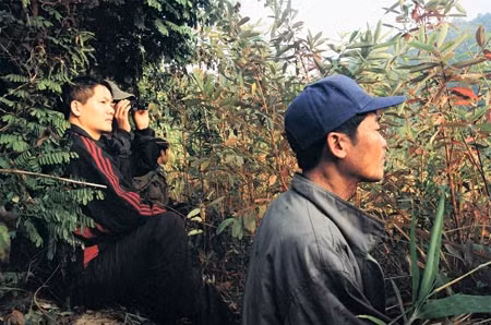 Trinh sát phục bắt đối tượng ma tuý có lệnh truy nã đặc biệt nguy hiểm ở xã Thanh Nưa, huyện Điện Biên.