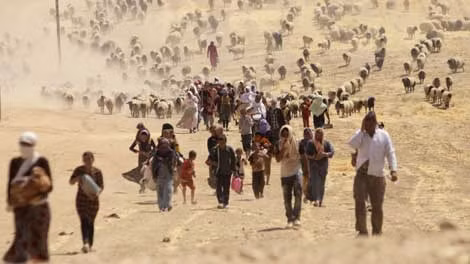 Người tha hương Yazidi ở miền bắc Iraq.
