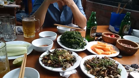 Bọ xít chiên dầu, một trong những món “tủ” tại một số nhà hàng đặc sản côn trùng ở Hà Nội.