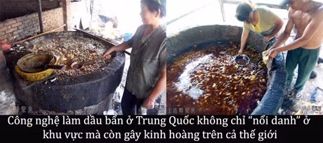Scandal dầu bẩn tại Đài Loan: Thị trường Việt Nam có dầu bẩn? ảnh 2