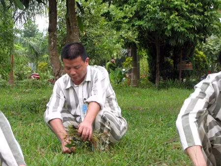 Những giờ lao động.