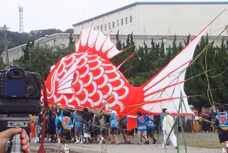 Lễ hội cá tráp biển Tai Matsuri ở Nhật Bản.