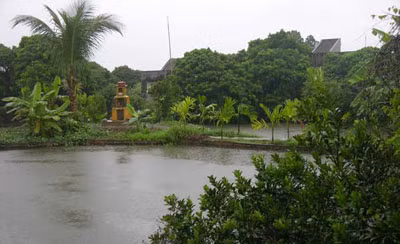 Bí mật ngôi mộ cổ: Cánh cửa mở rộng ảnh 2