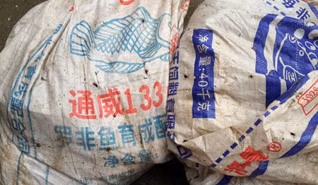 Bên ngoài bao tải dứa chứa ếch, ba ba ghi chữ Trung Quốc.