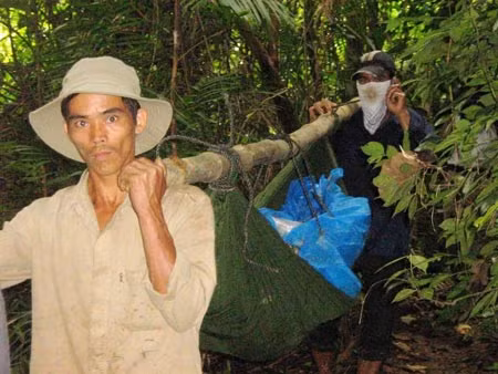 Nghiệt ngã giấc mơ vàng ảnh 1