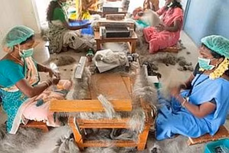 Ấn Độ: Kinh doanh xuất khẩu… tóc ảnh 1