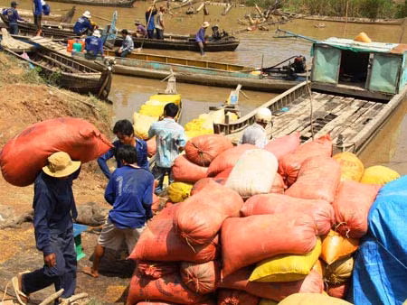 Bức tranh quê thanh bình vùng biên giới, báo hiệu một mùa xuân an lành.