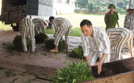 Chuyện ghi trước ngày đặc xá ảnh 3