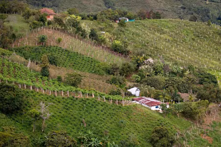 Colombia: Tổng thống Santos tiếp tục gặp “bão” vì cải cách đất đai ảnh 1