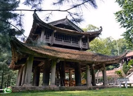 Nghìn tuổi chỉ là về tâm linh ảnh 2