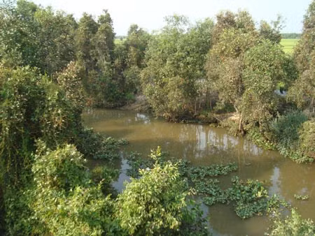 Con kênh "trời đánh".