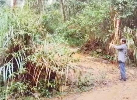 Kpă Y Năng chỉ hiện trường cất giấu khẩu súng kíp tự tạo.