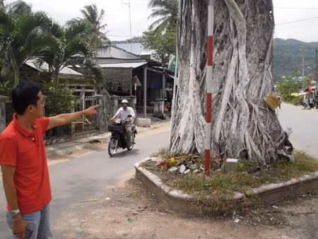 Cận cảnh "cây oan hồn".