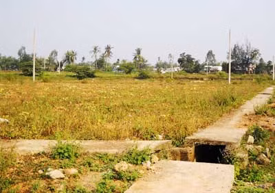 Hơn 70.000m2 đất lúa bị san lấp và tốn tiền tỷ xây dựng khu tái định cư để bỏ hoang.