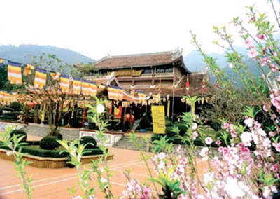 Sắc xuân Yên Tử.