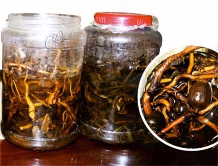 Rượu 138 - thứ được thổi phồng là “thần dược” cho cánh đàn ông "yếu sinh lý".