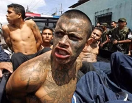 Thành viên của MS-13.