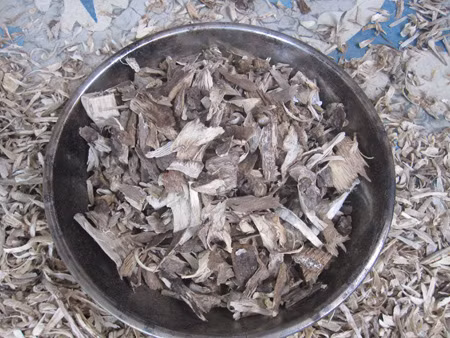 Năm hết Tết đến là lúc nhiều gia đình cắt cạo vụn trầm từ khối trầm thờ xông hương.