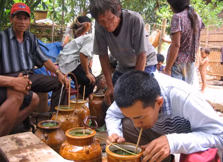 Lên rừng uống rượu tà-pai ảnh 1