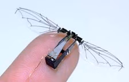 DelFly Micro của Đại học Công nghệ Delft.