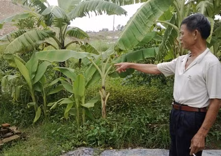 Tổ trưởng tổ dân phố Ngô Xuân Nghi chỉ vị trí đứa trẻ chết đuối.