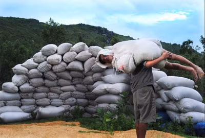 Một tác phẩm trong triển lãm “Nhật ký người nông dân” của Phan Quang.