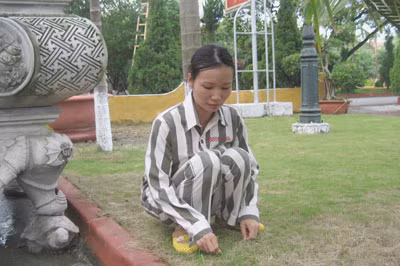 Lại Thị Kiều Lan trong giờ lao động.
