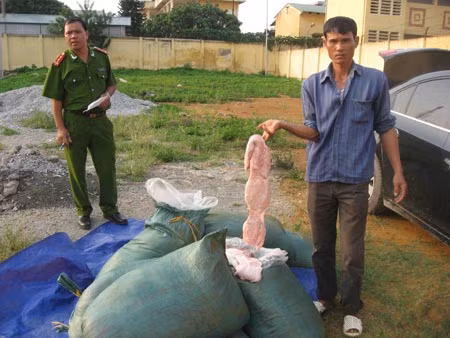 Nội tạng bẩn nhập lậu bị lực lượng chức năng thu giữ.