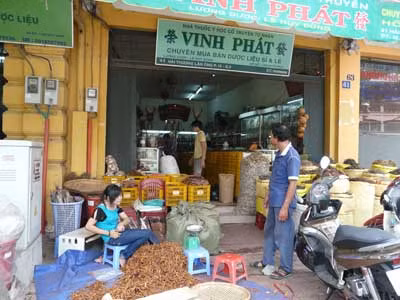 Lộ trình đông dược theo chuẩn GMP gặp nhiều khó khăn ảnh 1