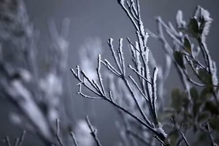 Hàng nghìn người đổ về Mẫu Sơn xem băng phủ ảnh 2