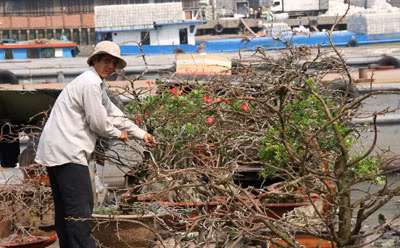 Anh Lê Đình Nhu trên chiếc ghe đầy hoa kiểng.