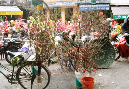 Hoa tươi “chờ” khách.