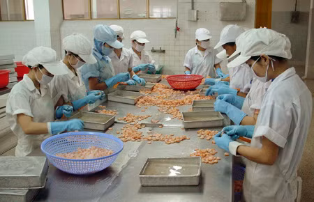 Công nghiệp chế bến trong nước hấp dẫn lượng vốn FDI lớn.