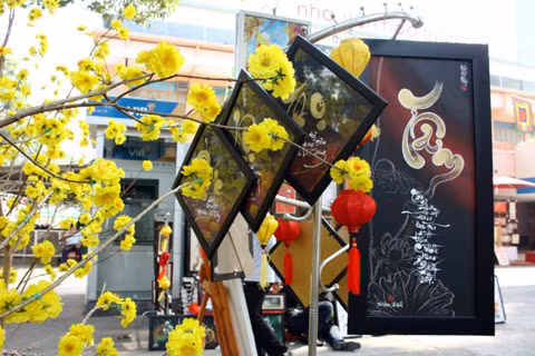 Mai khoe sắc thắm “sánh vai” cùng bạn “chữ” đùa vui đón gió Xuân.