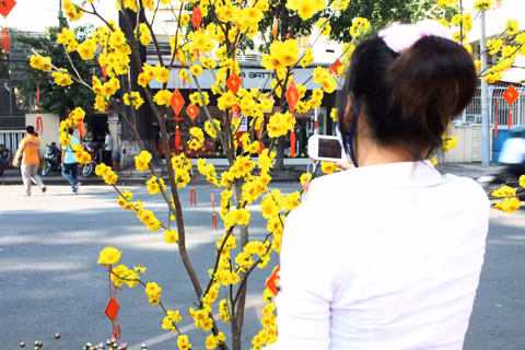 Chụp lại những hình ảnh trước thềm năm mới.